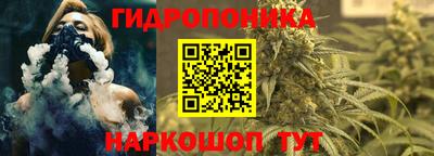 МДПВ Аша