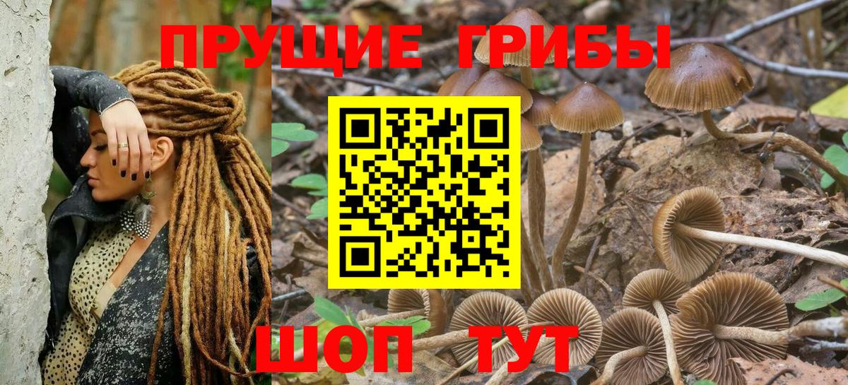 Псилоцибиновые грибы Magic Shrooms Брянск