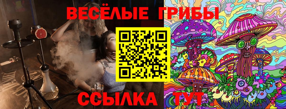 Галлюциногенные грибы прущие грибы  Псилоцибиновые грибы прущие грибы  Брянск  Вход с VPN 